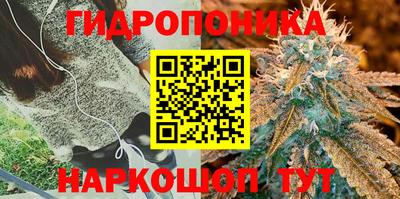 стафф Кумертау