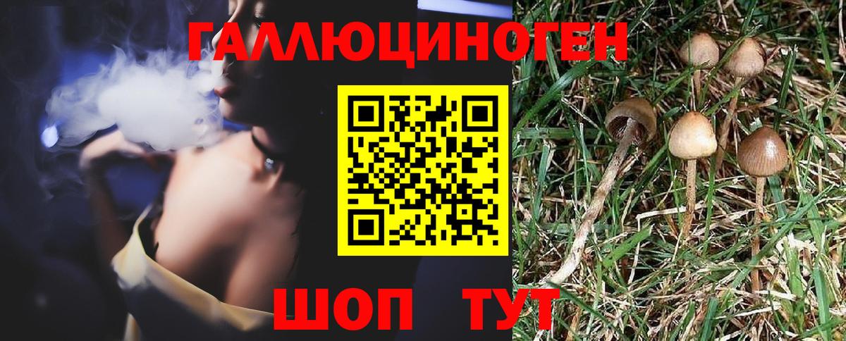 Галлюциногенные грибы мицелий  Вход с VPN  Энгельс  Галлюциногенные грибы MAGIC MUSHROOMS 
